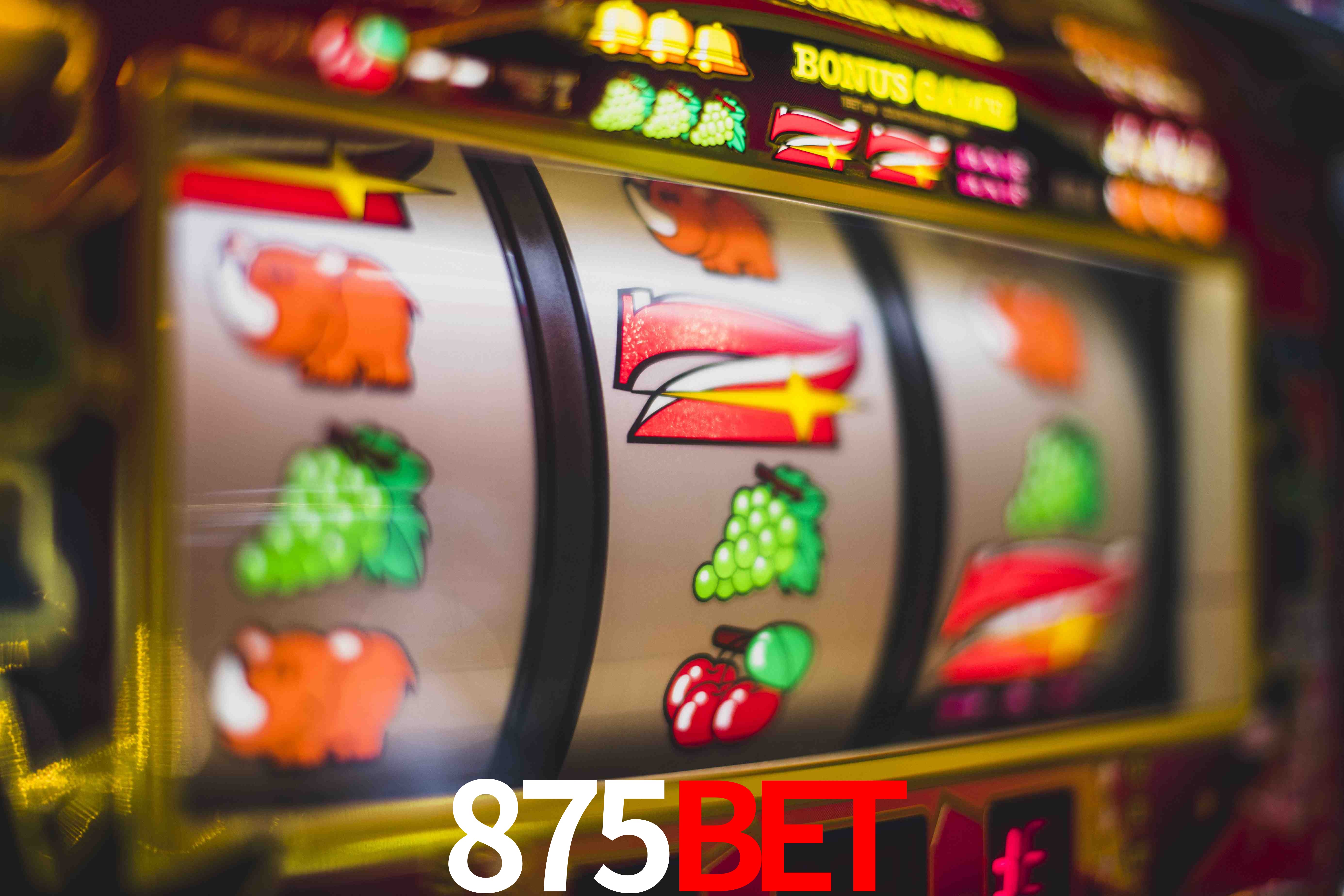 Sports Statistics 875Bet