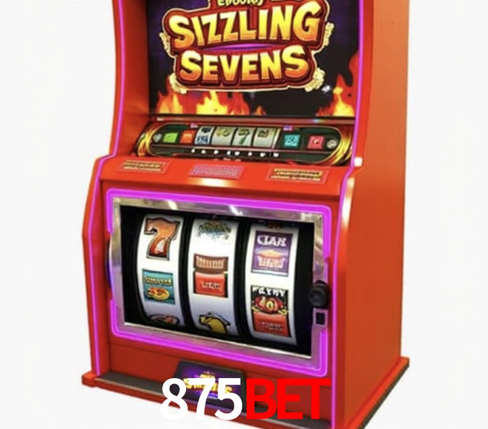 Security Systems 875Bet